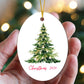 Christmas 2024 Oval Ornament