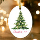Christmas 2024 Oval Ornament