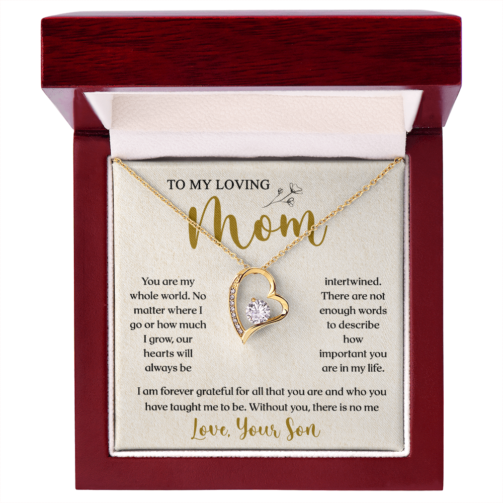 To My Loving Mom | You Are Important To Me | Forever Love Necklace
